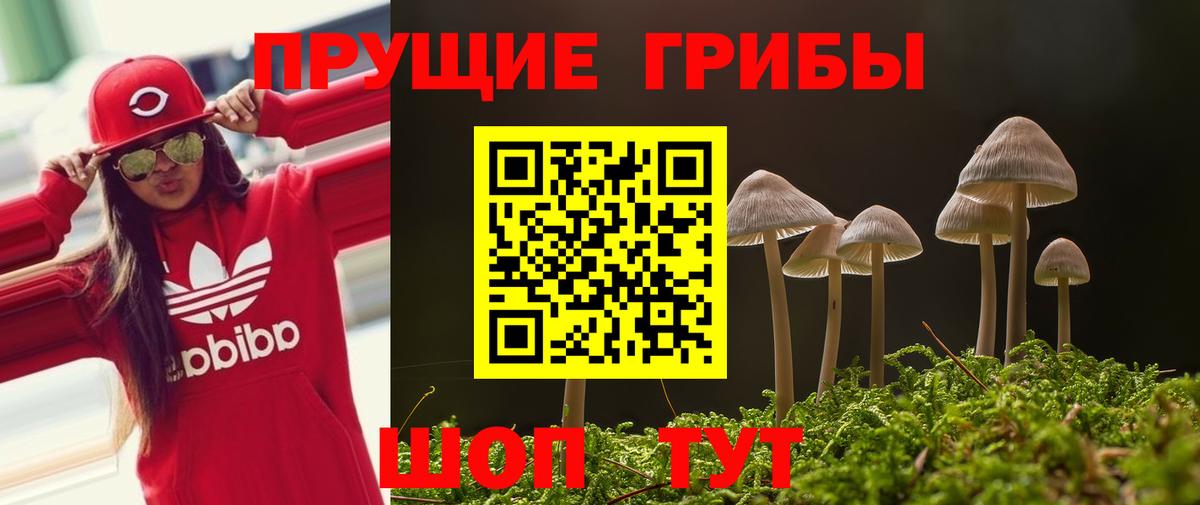 продажа наркотиков  Вход с VPN  Зерноград  Псилоцибиновые грибы MAGIC MUSHROOMS  Галлюциногенные грибы прущие грибы 